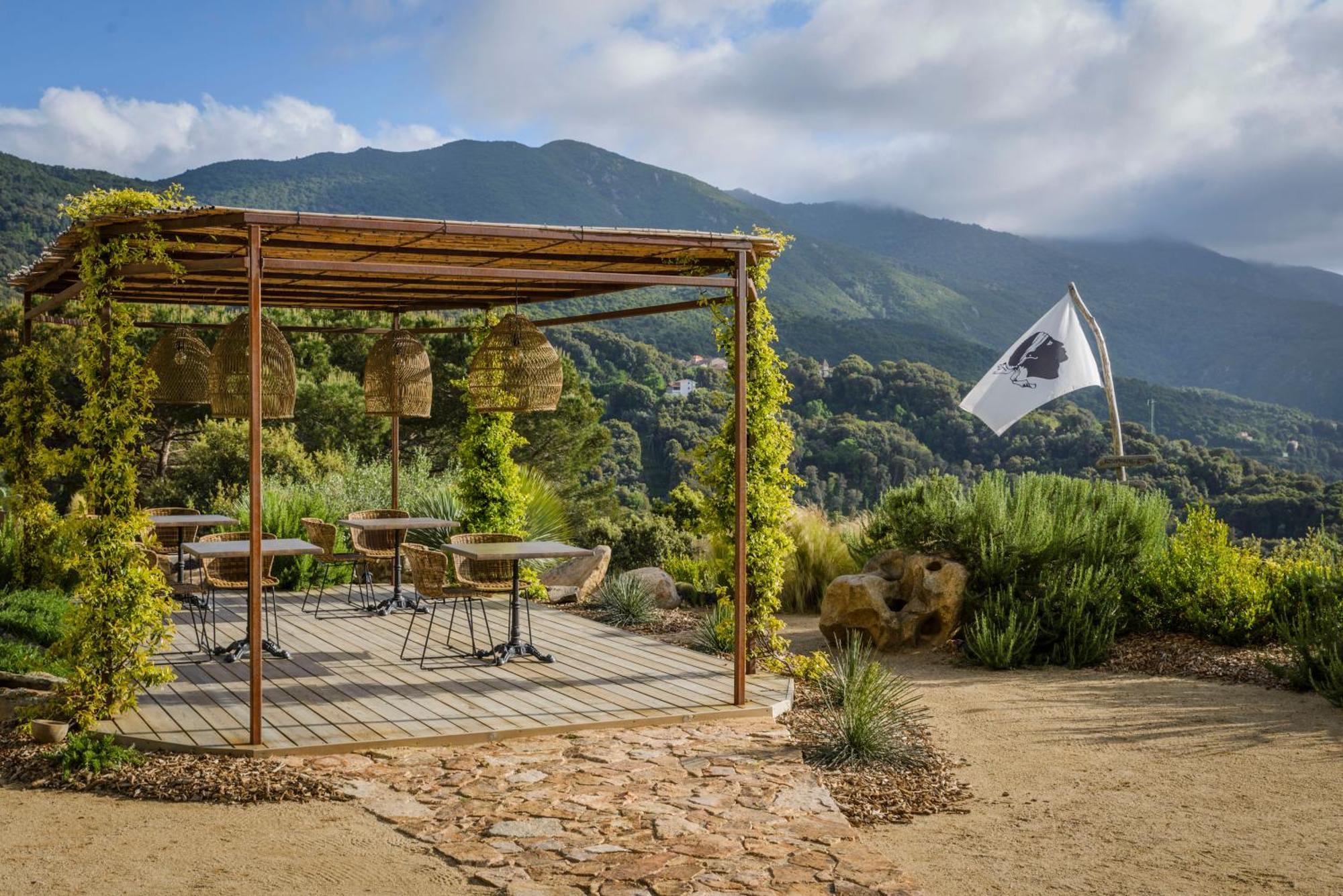 Terre De Maquis, Maison D'Hotes Vue Mer Corse Sari-D'orcino Exteriér fotografie